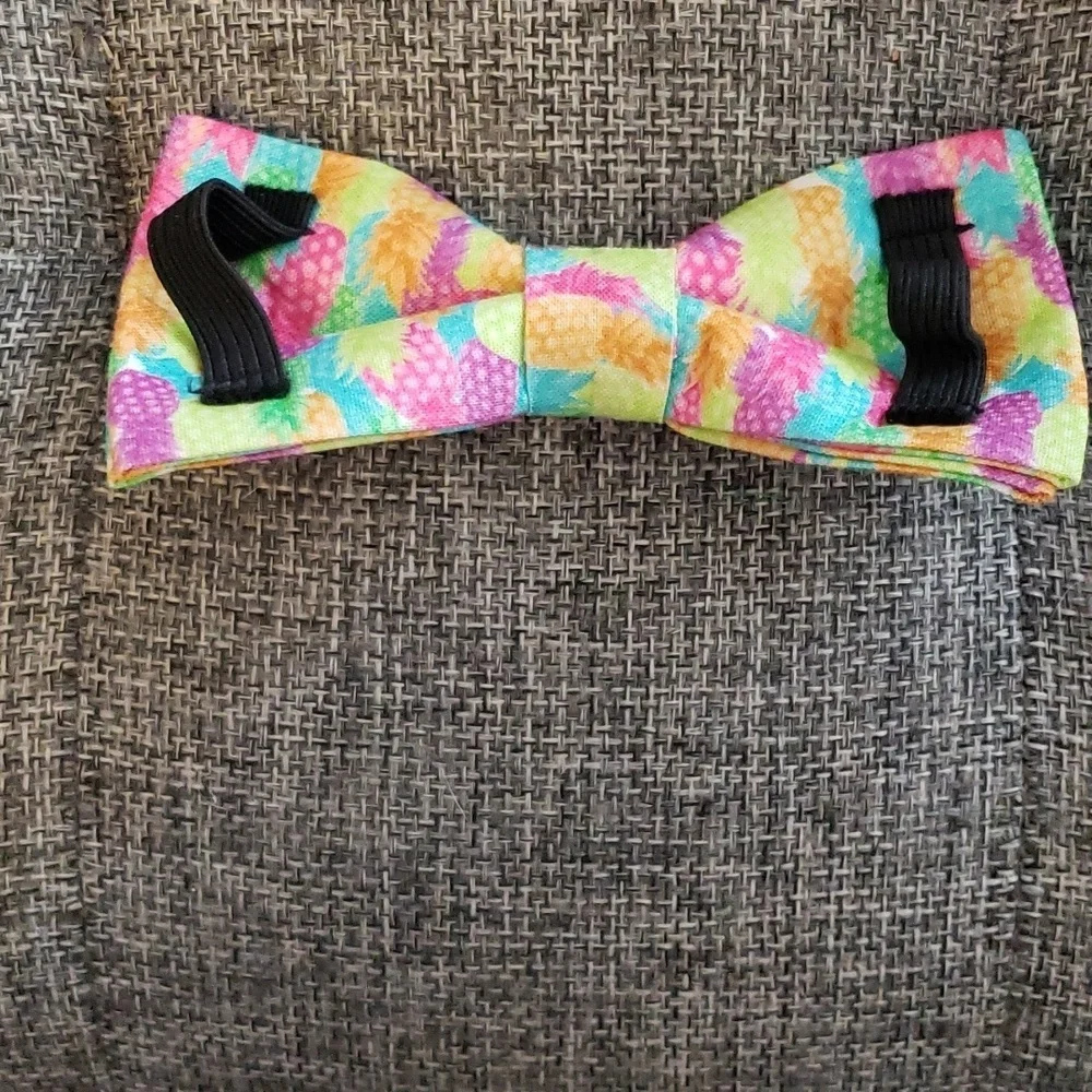 Lionet Paws Colorful Pineapple Dog Collar with Bowtie Size M